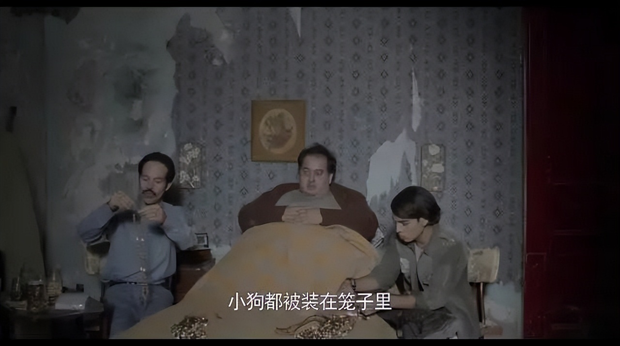 这样聊天的人才是真的在乎你,每天陪你聊天的人是真的爱你吗