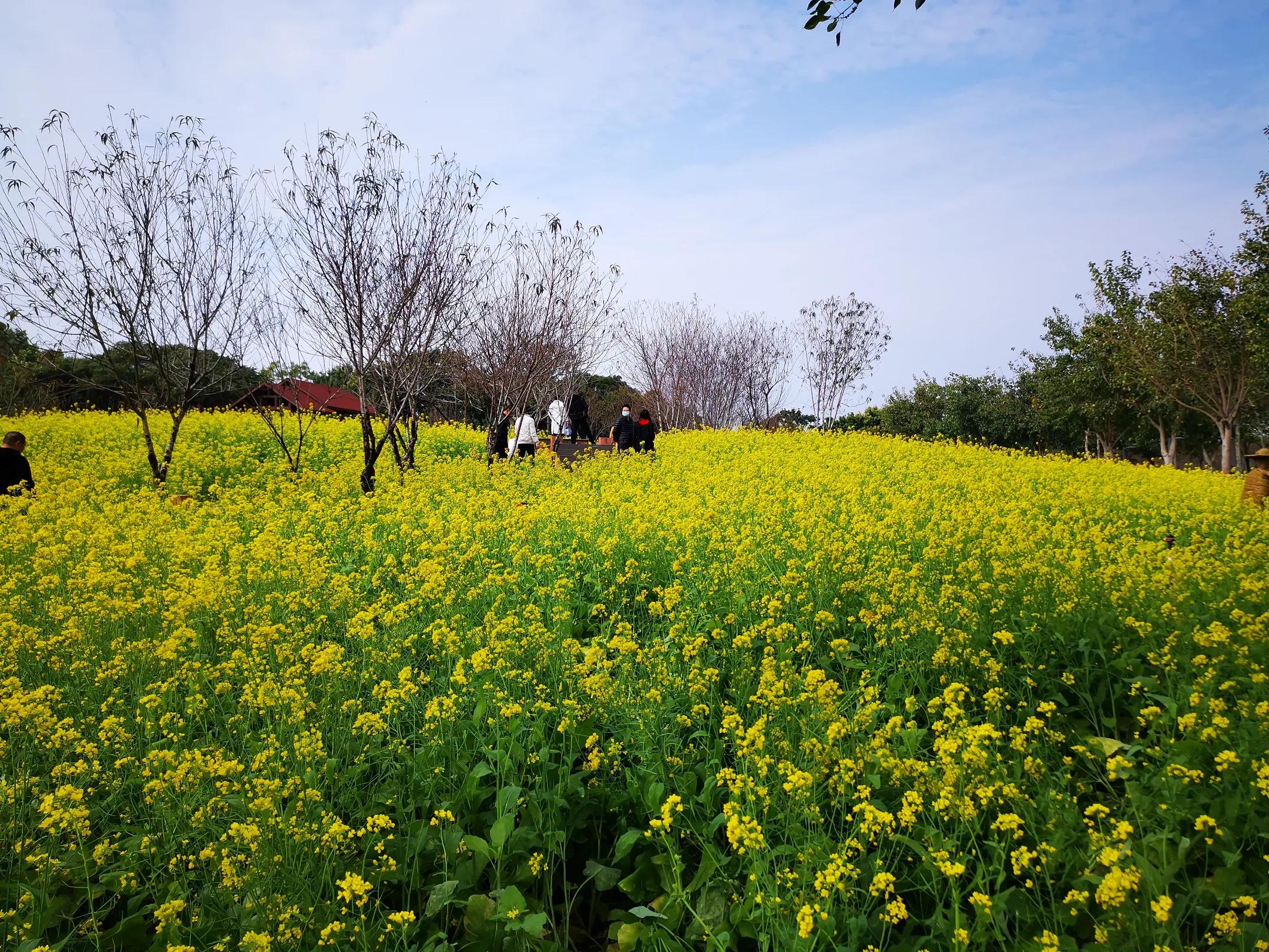 如何选择优质跟团游,如何选旅游团靠谱