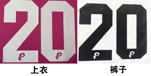 海南省三亚市海友青训与潘帕斯达成足球服装定制