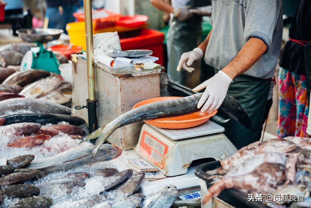 冬季吃鱼首选这5种,妙招冬天吃鱼内行人专挑这5种