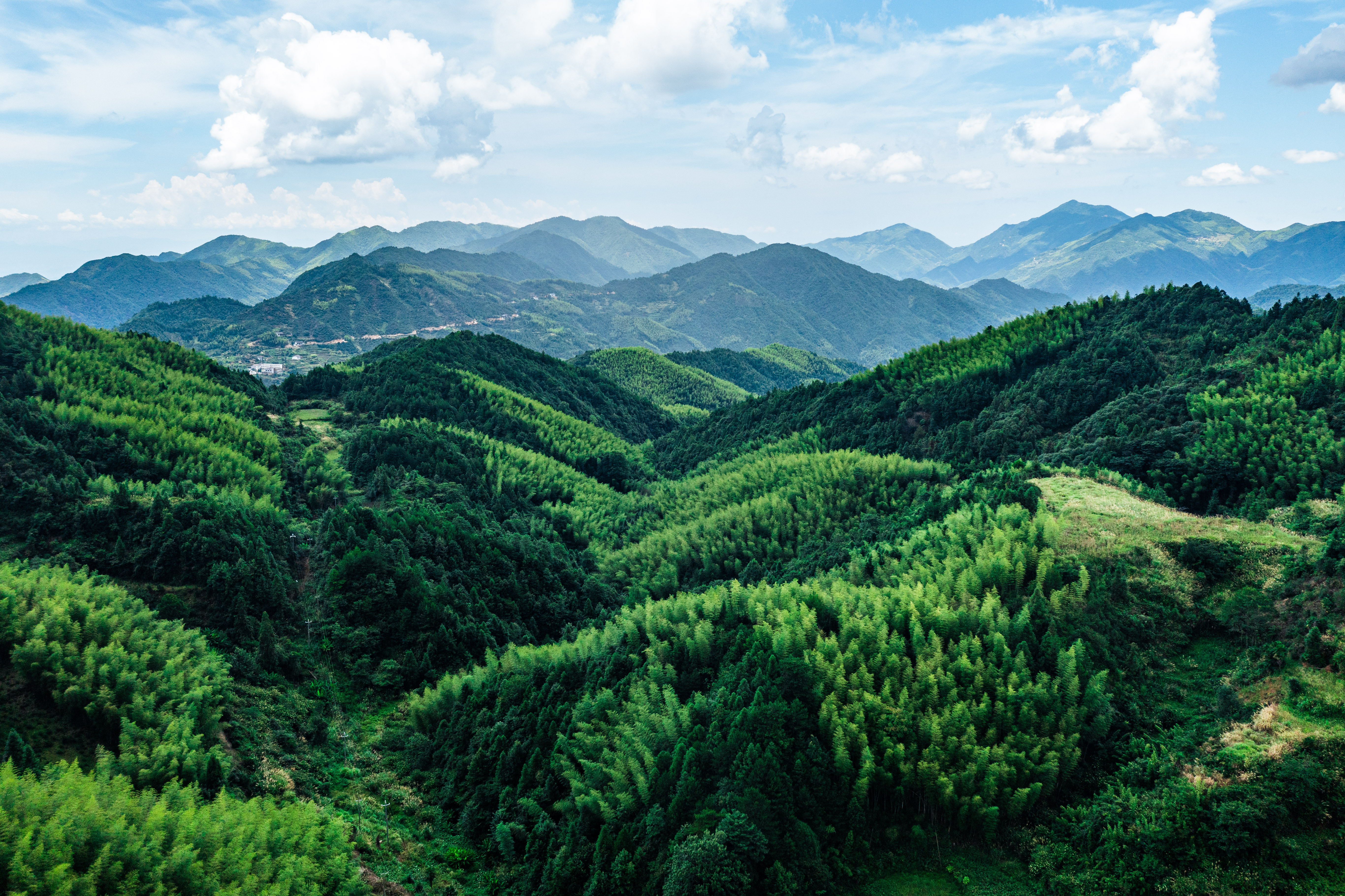 行游五府山：解密3宝，山野美味游走舌尖，传递平实的幸福