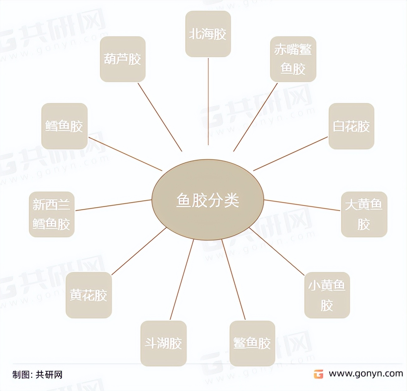鱼胶行业分析,2019年中国胶粘剂行业进出口情况