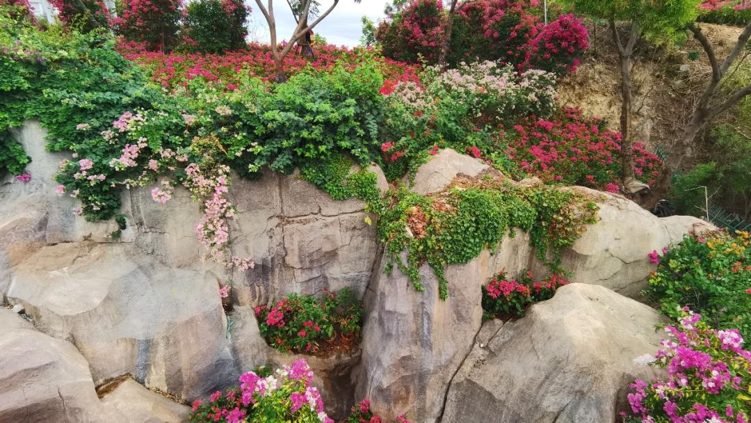 厦门花海景点最新,厦门最近的花海