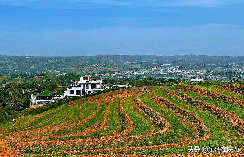 蓝田荞麦花海和高山草甸,西安荞麦花海旅游