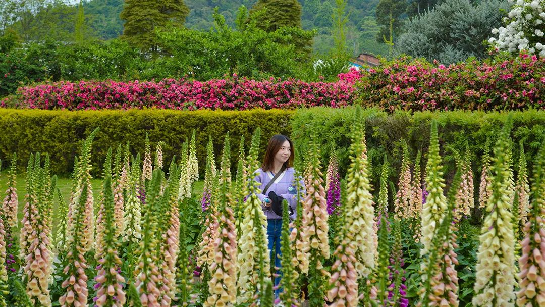 花卡特惠,新春钜惠不容错过