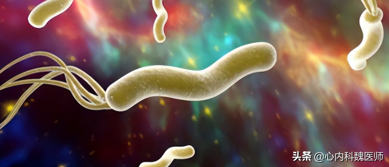 肠息肉切除后一般多久要复查,肠息肉切除后复查正常多久再复查