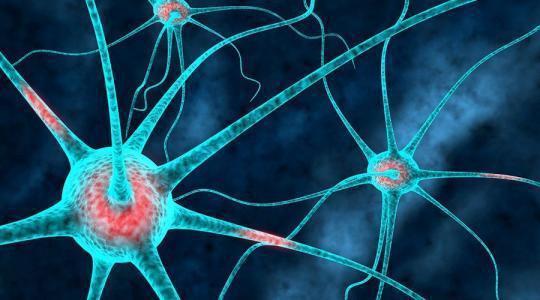 几块钱的“甲硝唑”，能“治疗”这3种疾病！价格合适还好用