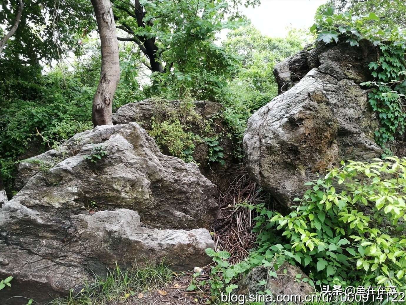 50、问道镇江之曾经的“江南诸胜之最”金山——春天里游江南