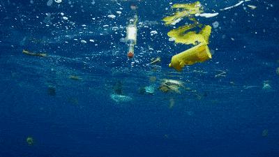 太平洋有多大视频,太平洋和大西洋面积多大