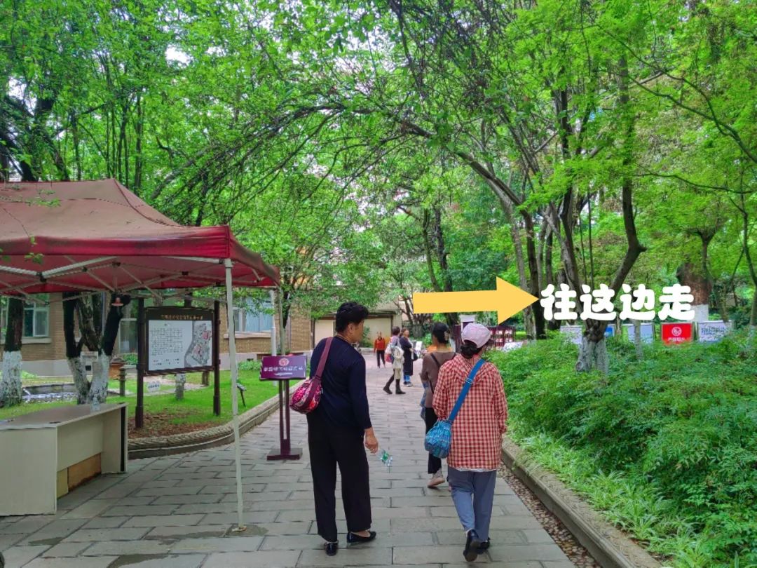 翠湖边神秘公馆,昆明最隐秘的顶级别墅