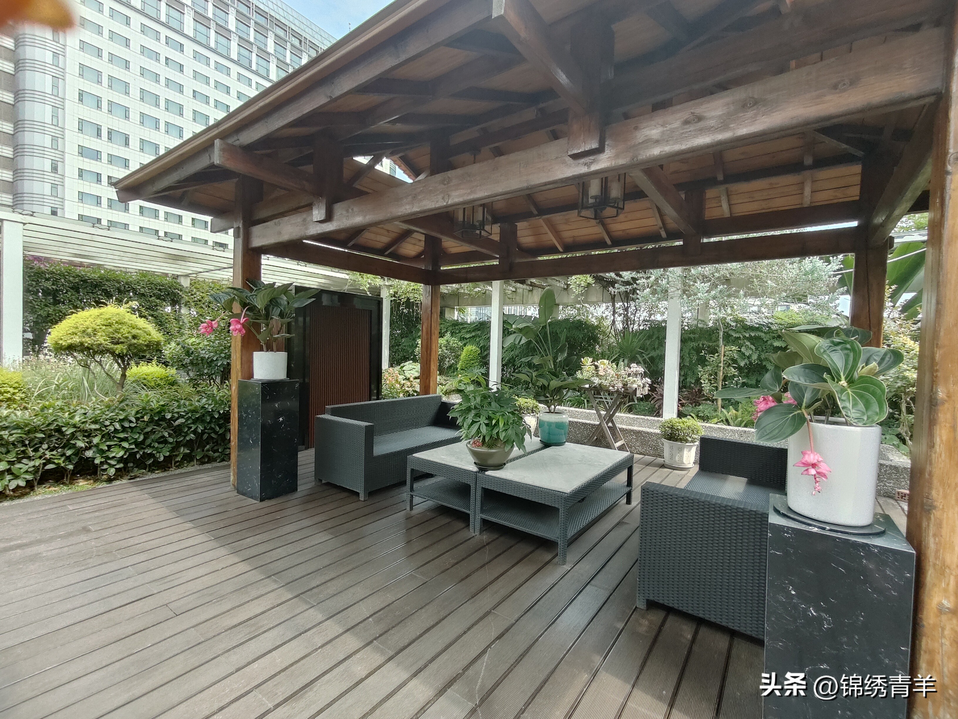 社企共种楼顶花园上班累了可以打场球