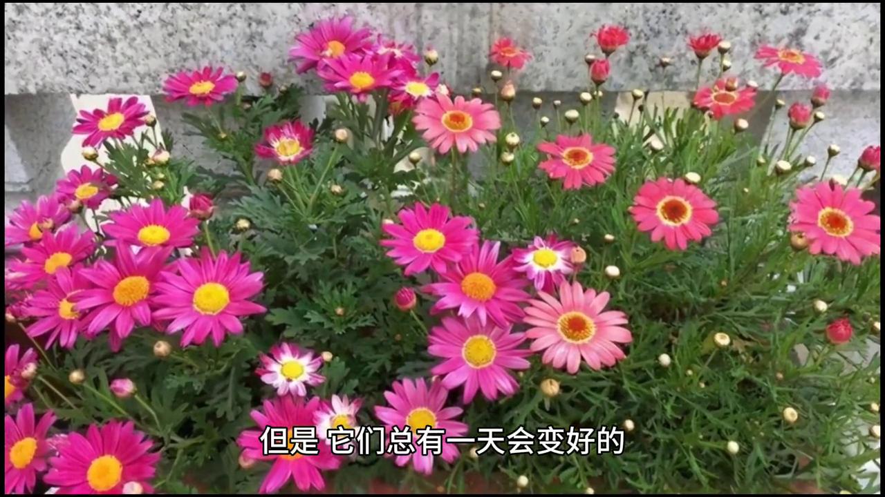 我的生活是彩色的作文,我的生活是七彩的作文200字左右