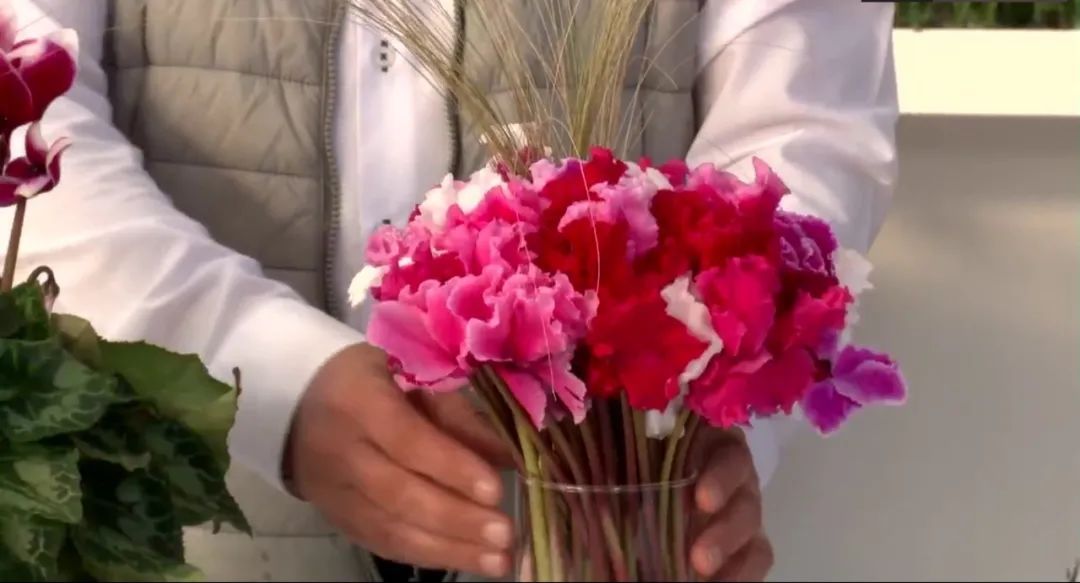 娉曞浗鑾幈灏斾粰瀹㈡潵鍝佺,鑾幈灏斾粰瀹㈡潵