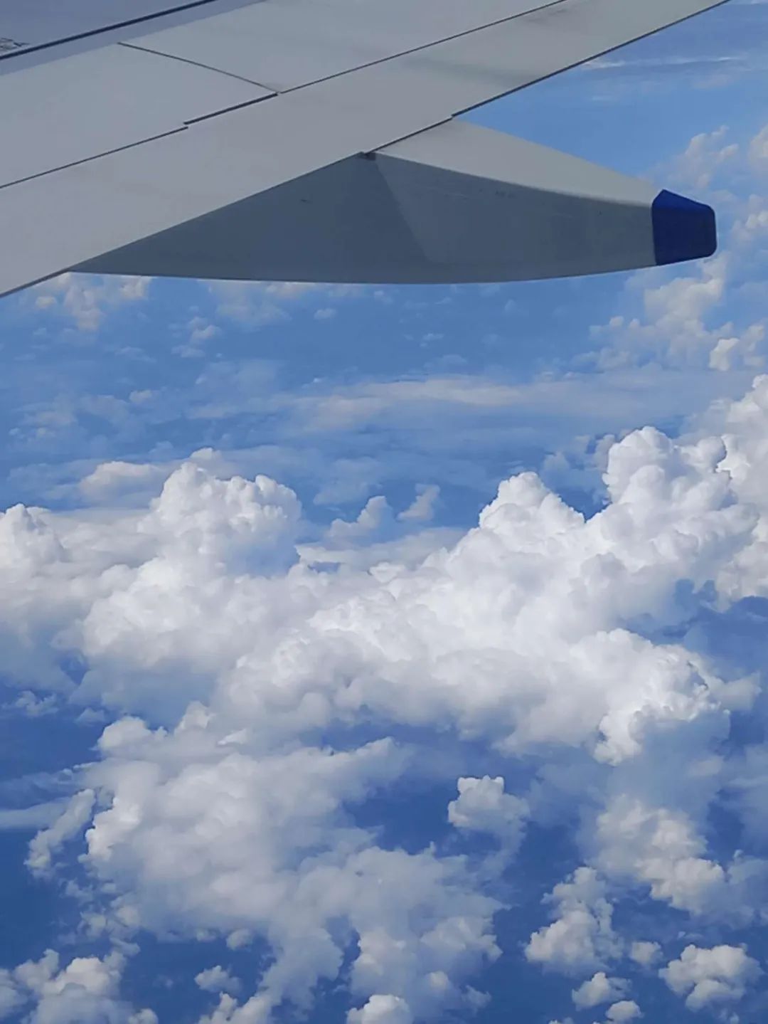 85后敖哥在澳洲：卖海鲜开餐厅，负债20万，远赴海外开卡车