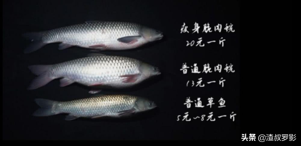 银行副行长辞职赚钱,中国银行副行长辞职