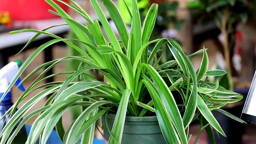 负氧离子发生器制作过程,自制家用负离子发生器