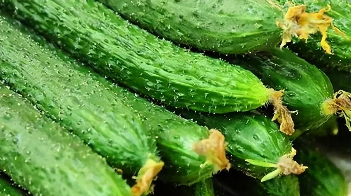 春天6道降火菜吃完五脏都滋润了,中老年人夏天吃什么食材好