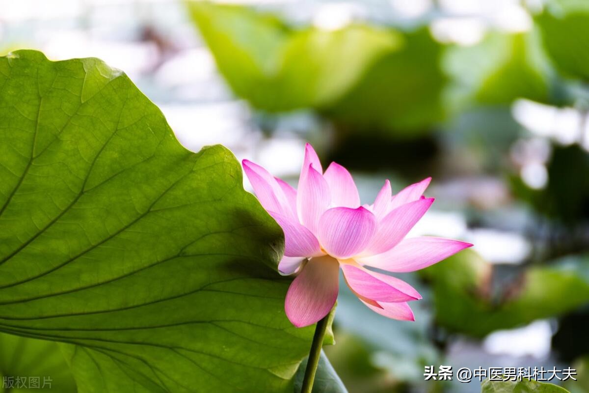 宗筋敏感度,宗筋松弛如何调理