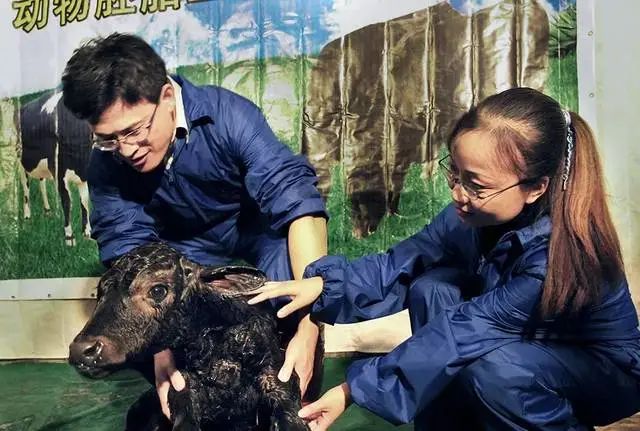 莱阳曾经的辉煌配图,莱阳市在哪个历史阶段版图最大