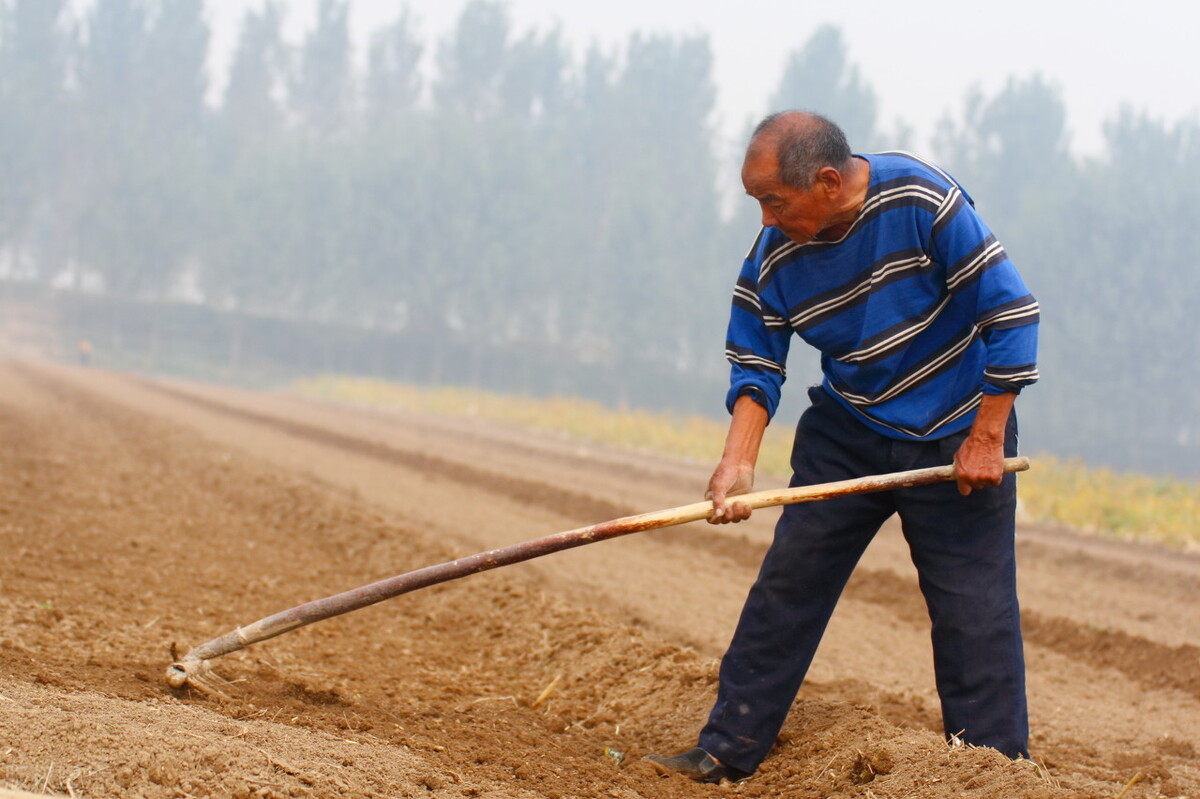 中年男人抱怨父母老婆该怎么安慰,中年爸爸的无奈