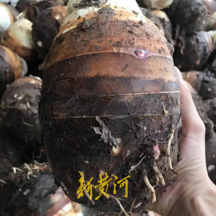 荔浦芋头商标侵权,荔浦芋事件后续