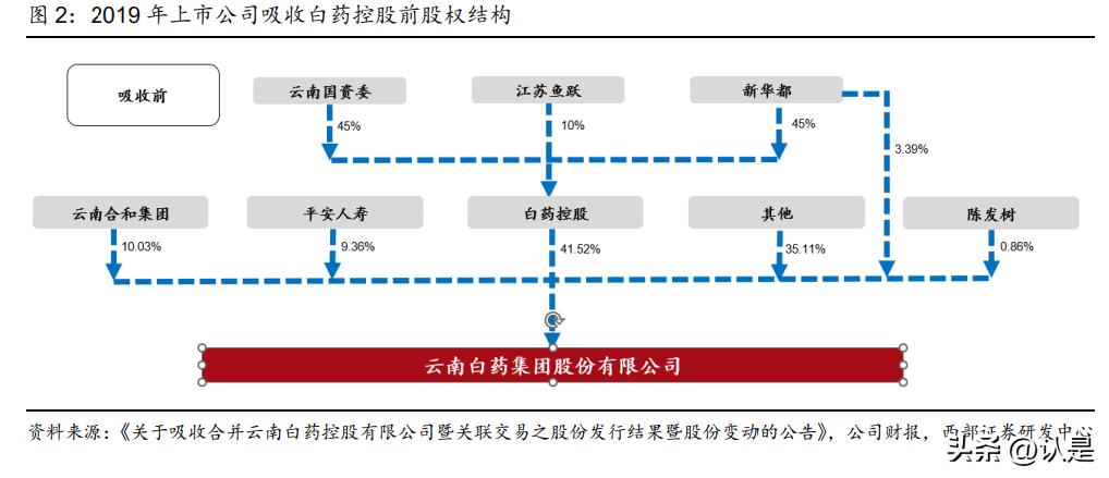 云南白药内部控制研究5000字论文,云南白药技术研究