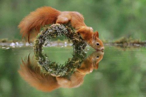 如何有效的赞美人,如何去赞美别人的技巧和语言