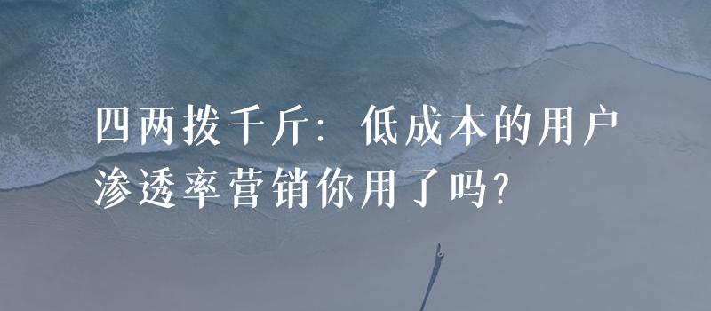 两拨千斤营销模式,四两拨千斤的商业思维