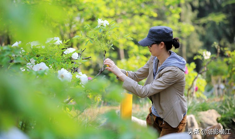 2021我的难忘记忆,我的2020高考独家记忆