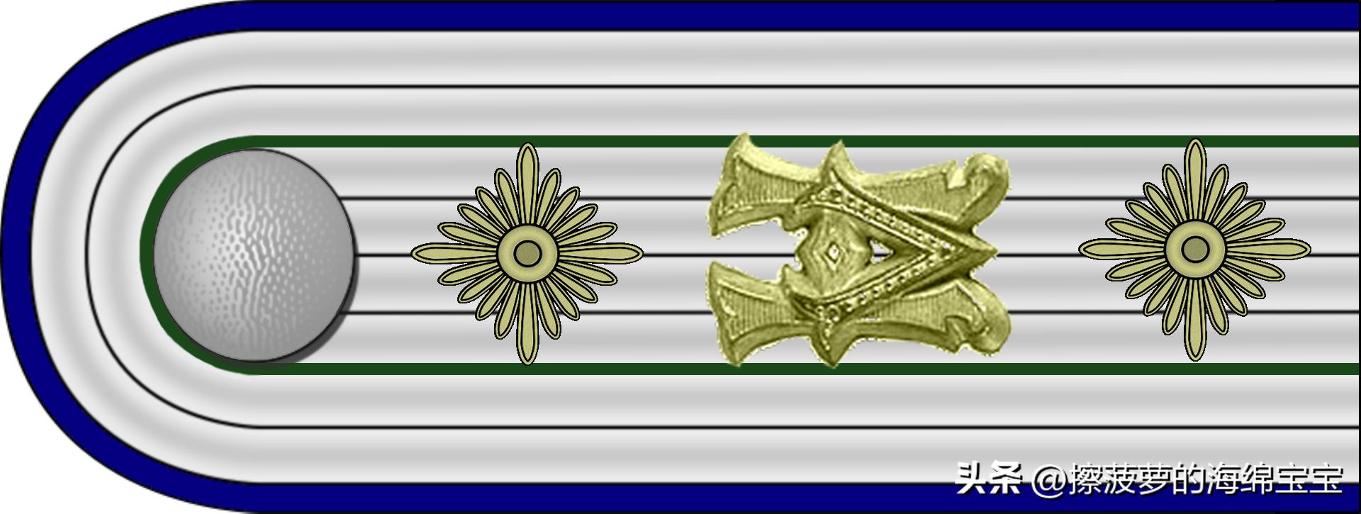 二战德国国防军医疗兵军衔标志