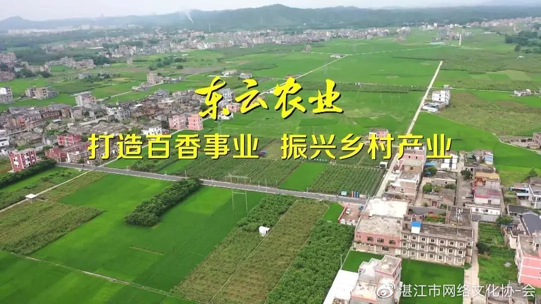 玉事好商量第5期,遇事好商量视频