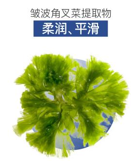 女士保湿控油推荐,夏日清爽控油好物推荐