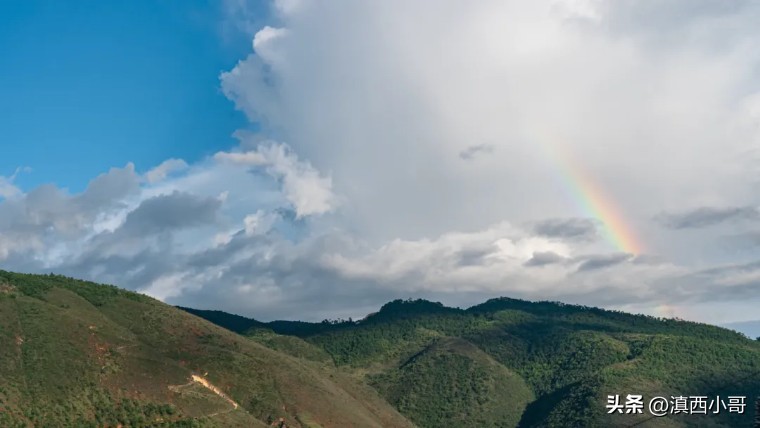 美丽的红宝石石榴,一席一果