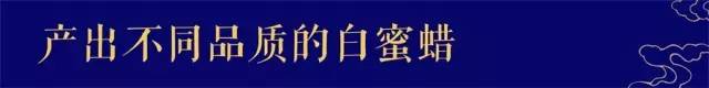 俄料老熟度怎么看,乌料和俄料蜜蜡盘出来区别