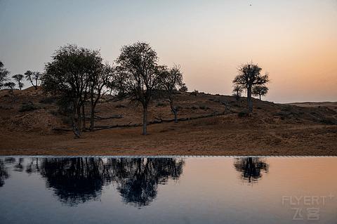 阿联酋丽思卡尔顿,阿联酋野奢帐篷
