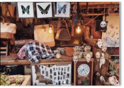 皮革市场调研方案,皮革产品运营