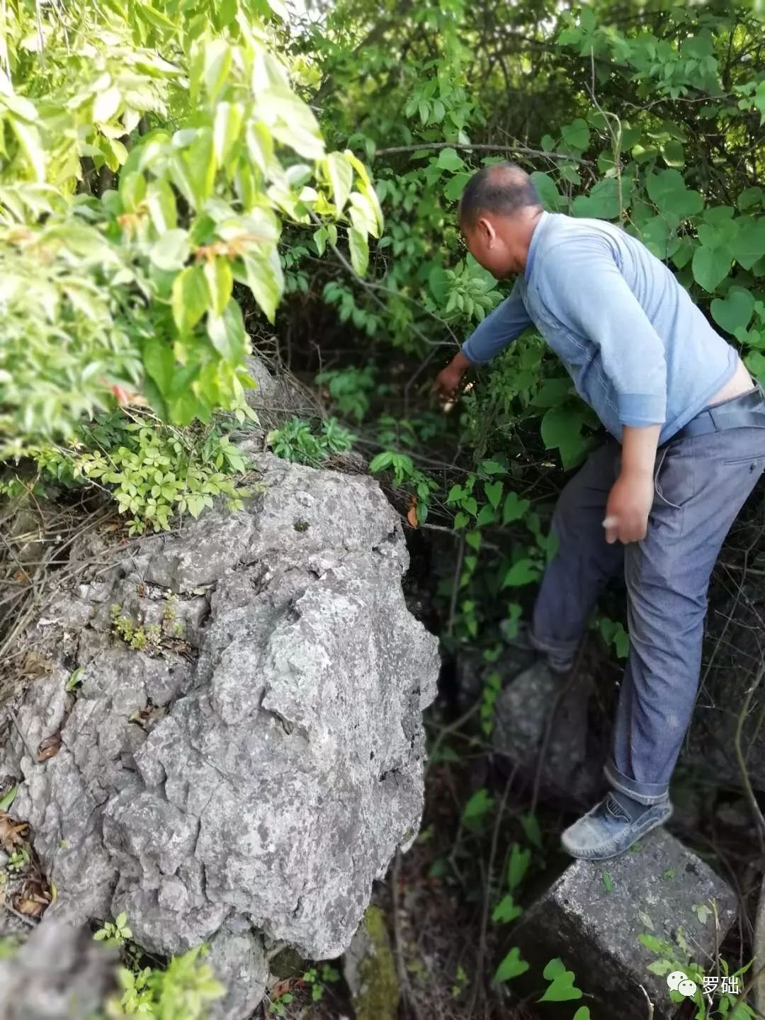 鐭虫湪灞卞,鐭虫湪瀵ㄥソ椋庡厜