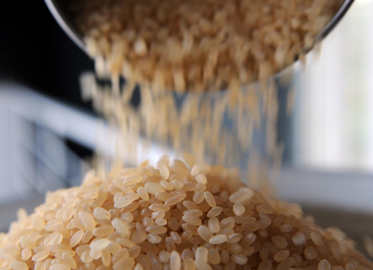 印度新设大米出口税,印度调整大米出口关税