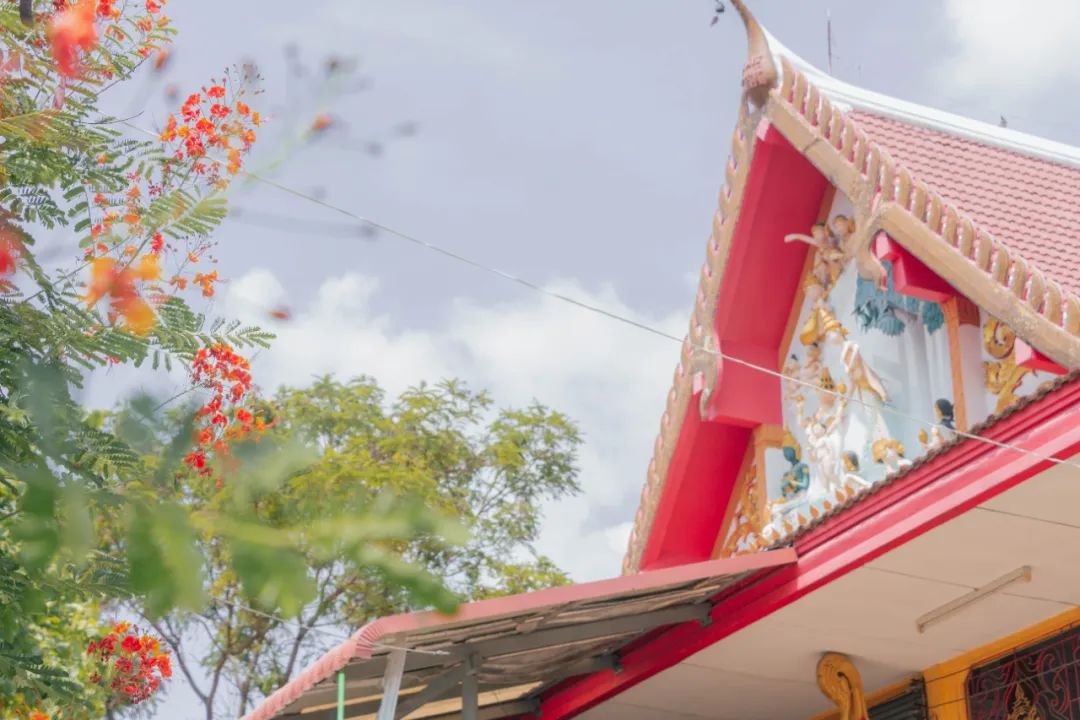 大数据推给想去泰国的朋友，万字长文玩转曼谷芭提雅