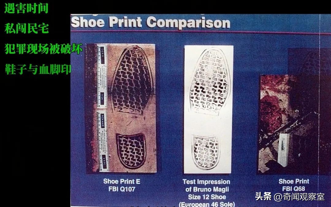 辛普森案真相解析,辛普森案真相解密