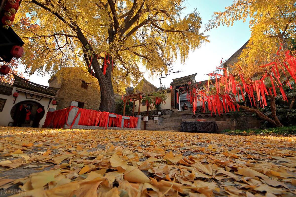 藏霸为何放弃称霸一方，跟随曹操