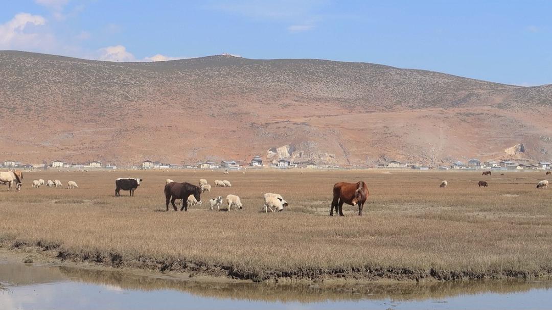 自媒体赚钱方法轻松月赚1万,能赚钱的16个自媒体