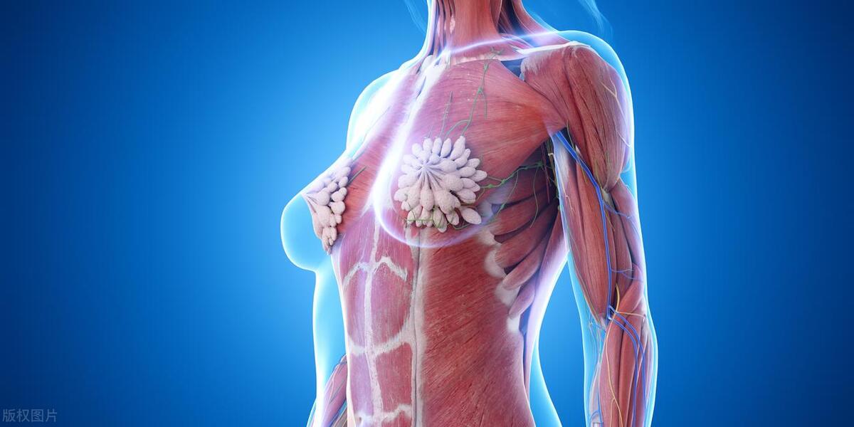 女性的胸，为啥不能乱揉？医生提醒：乱揉或与这4个危害有关。