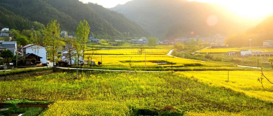 农业三产融合什么意思,农村三产融合与农业产业化的区别