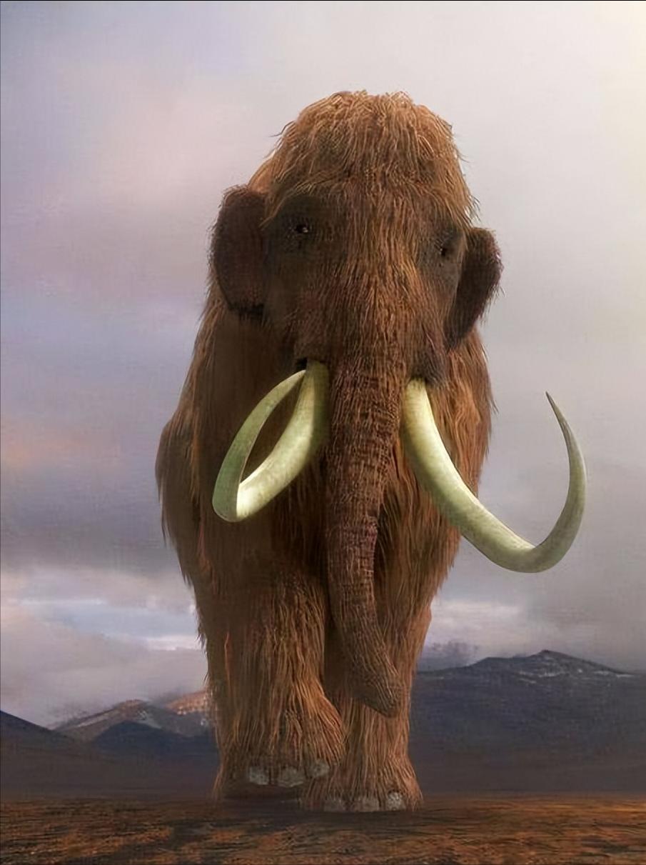 猛犸象基因组打破最古老dna的纪录,猛犸象与非洲象的基因对比