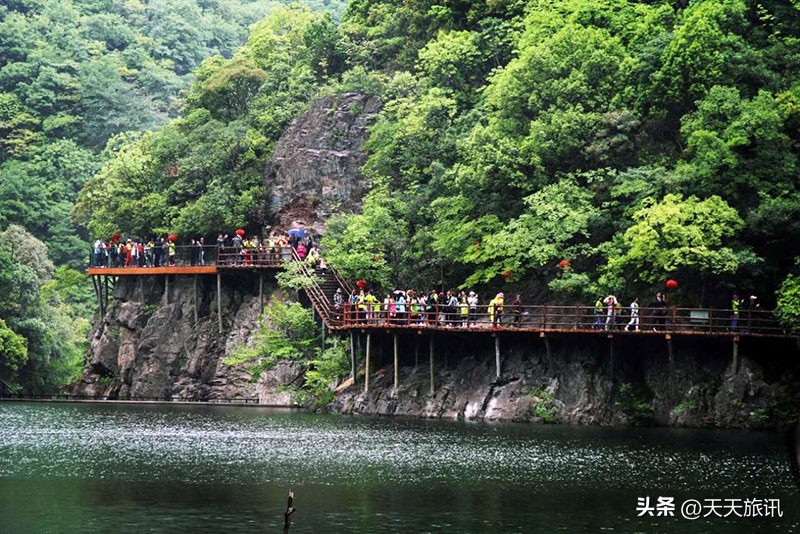 河南景点森林氧吧,河南五地入选中国天然氧吧