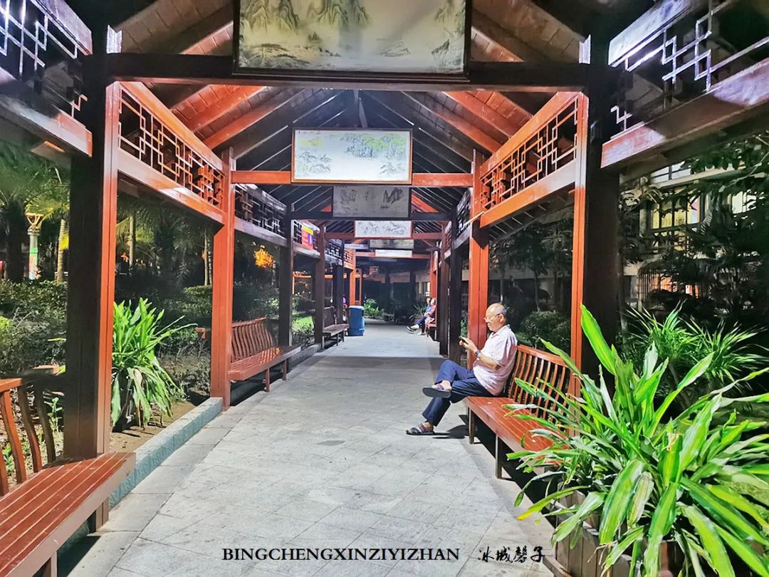 旅居海南：九所新区的浪漫情