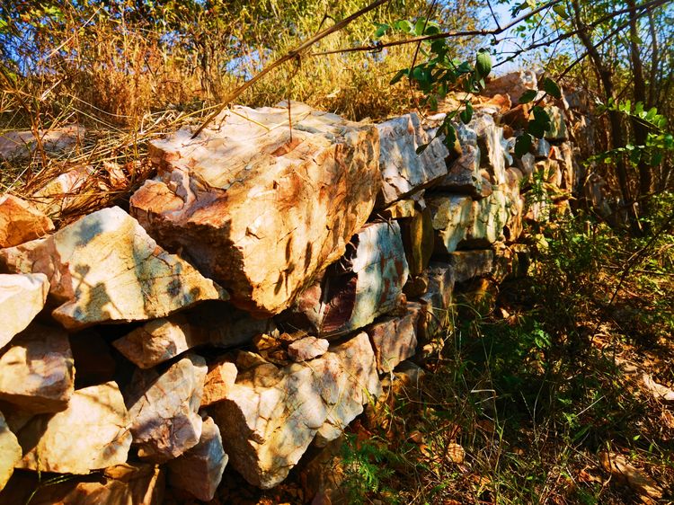 旅顺城山,旅顺城山怎么绕过去