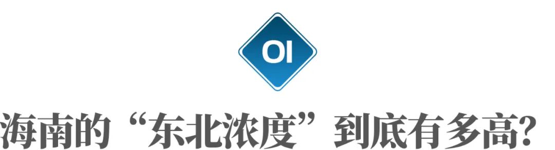 海南三亚附近的城市,为什么说三亚是东北省会