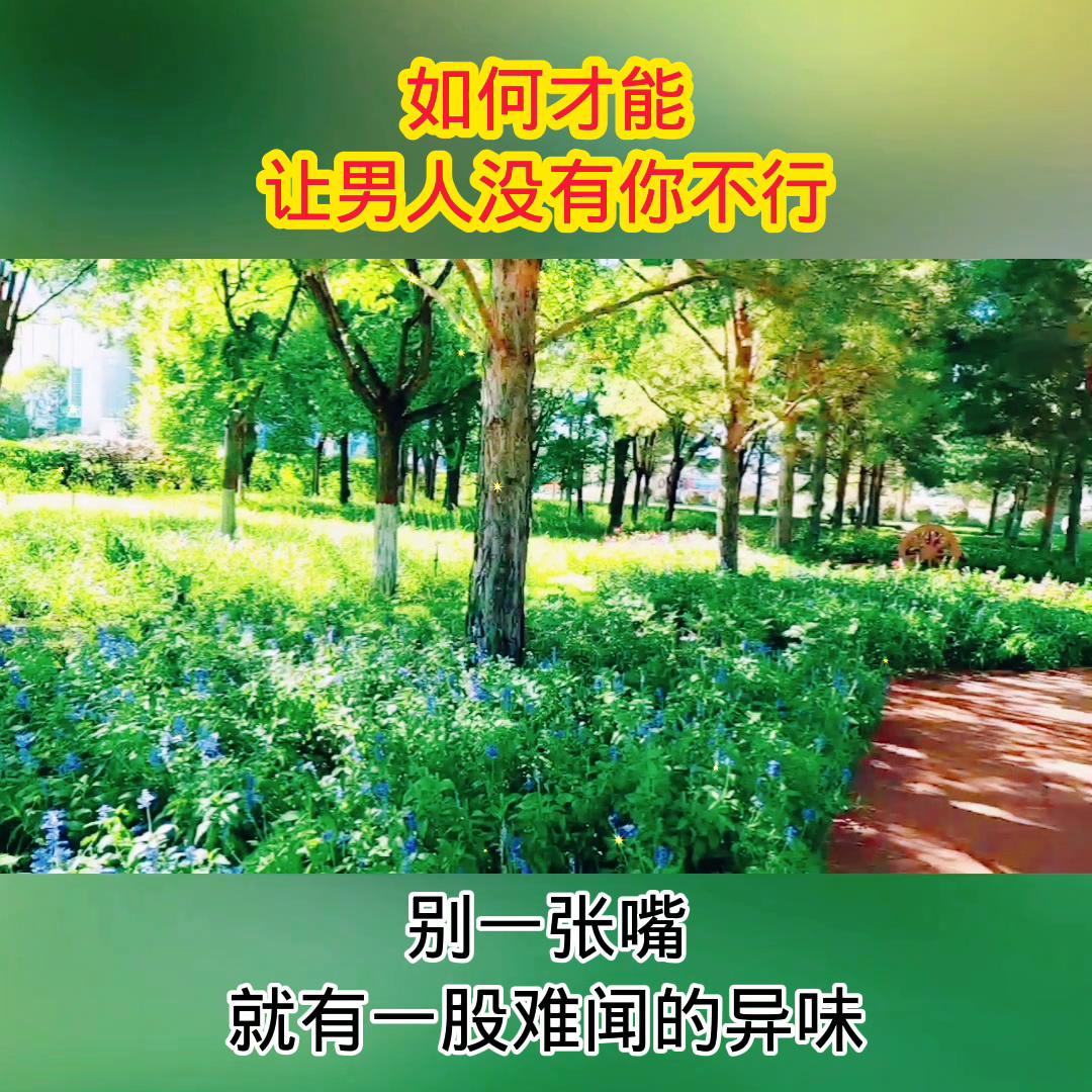 情感调解节目全部,情感电视剧连续剧免费看